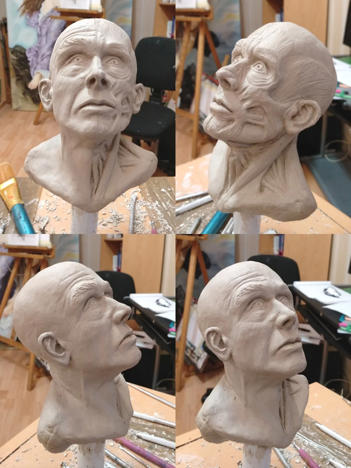 Head Study Course Human head study | Putty & Paint